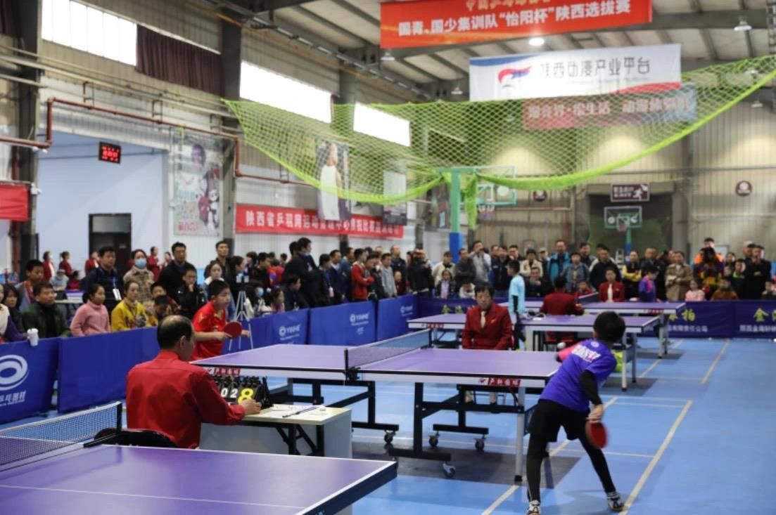 骑士主帅迅 骑士主帅迅