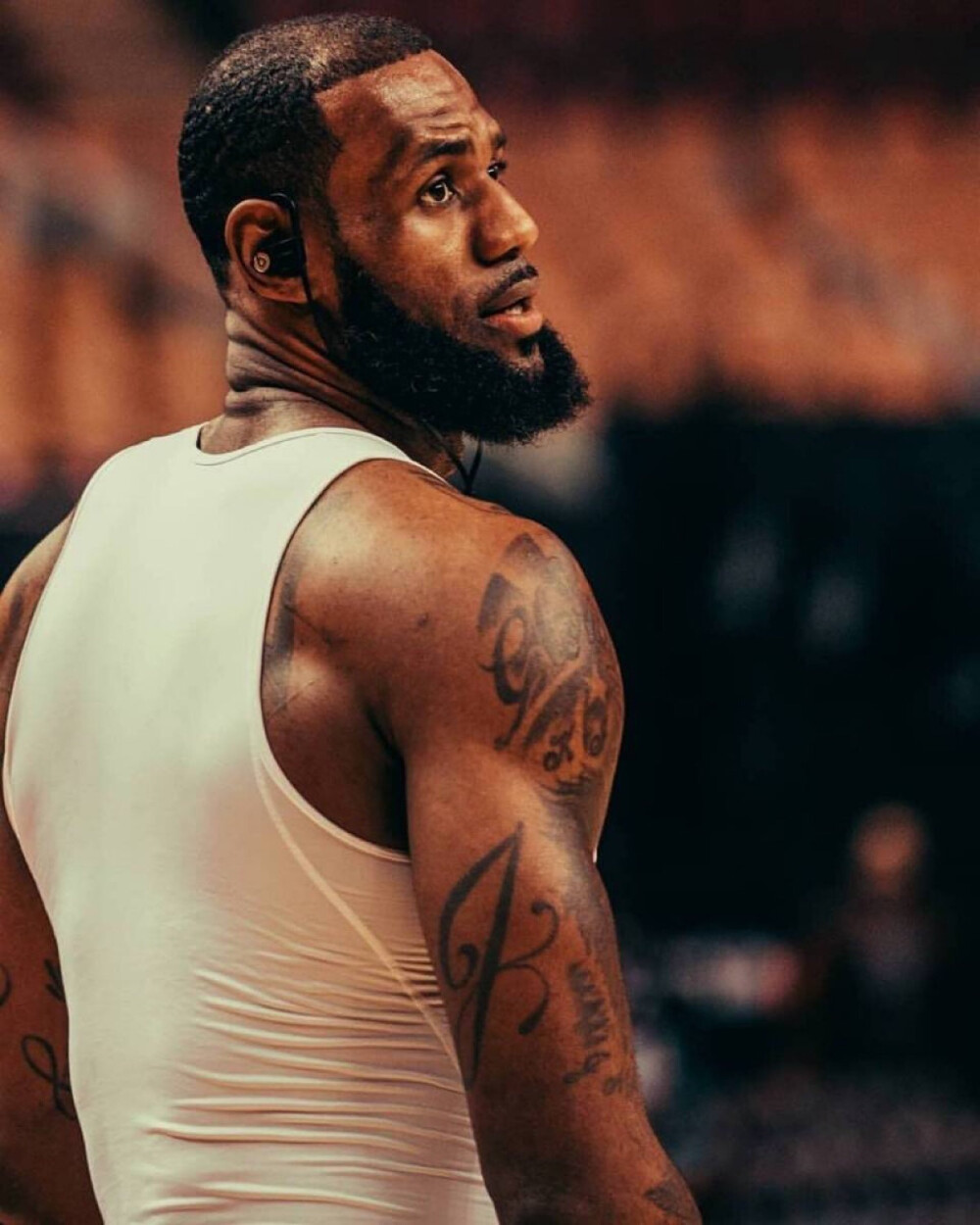 它还有活路 它还有活路